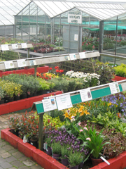 garden centre