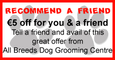 Recommend a Friend Offers from All Breeds Dog Grooming Centre